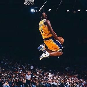 Meet your Posher, Wyatt